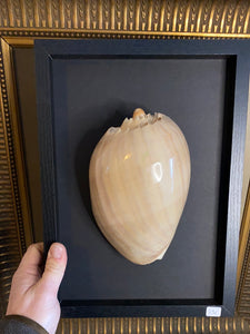 Cadre coquillage grand modèle