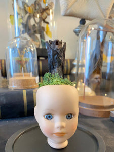Globe chauve-souris sur tête de poupée en porcelaine