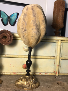 Fruit de baobab sur piédestal en bronze