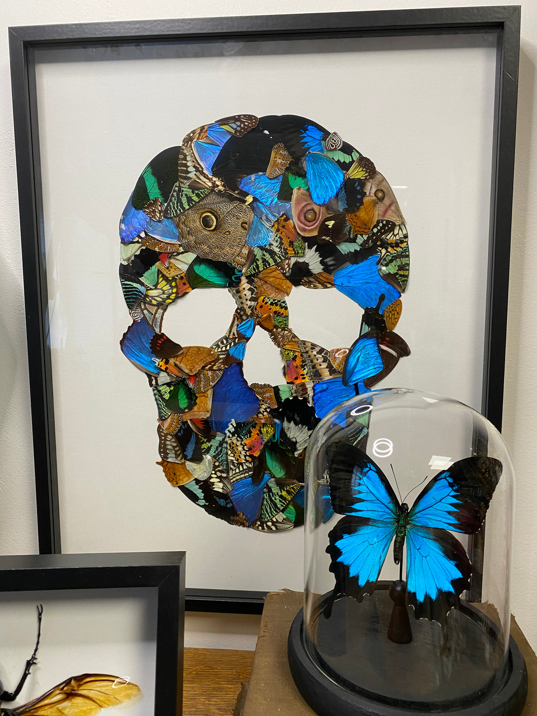 Cadre tête de mort en ailes de papillons