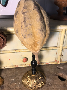 Fruit de baobab sur piédestal en bronze