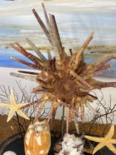 Charger l&#39;image dans la galerie, Globe bord de mer PAS D’ENVOI
