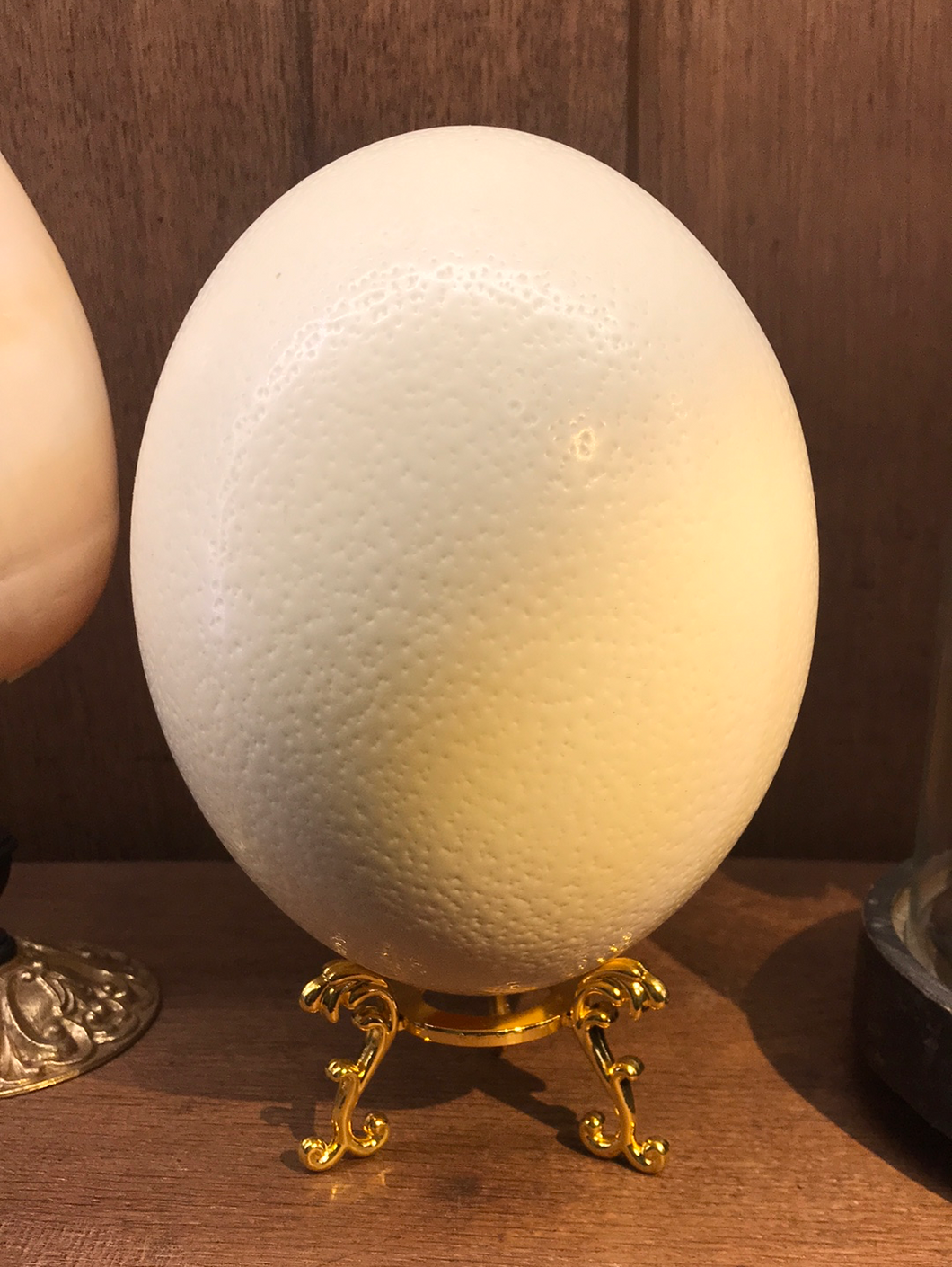 Oeuf d’autruche sur piétement