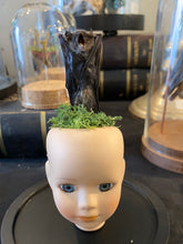 Charger l&#39;image dans la galerie, Globe chauve-souris sur tête de poupée en porcelaine
