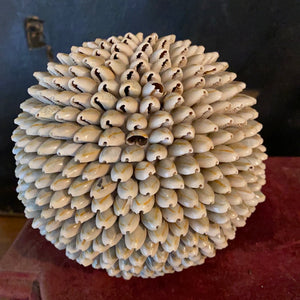 Boule de coquillage GM