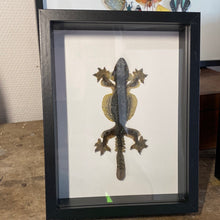 Charger l&#39;image dans la galerie, Cadre gecko volant
