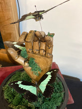 Charger l&#39;image dans la galerie, Papillons papilio phorcas sur main en bois
